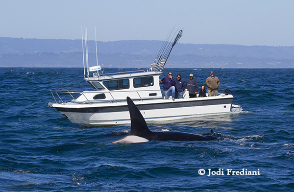 Killer Whale CA 51b with fishing boat