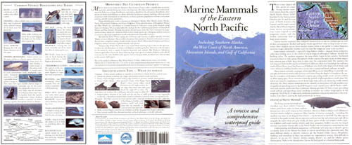 Outside view of Marine Mammal Guide