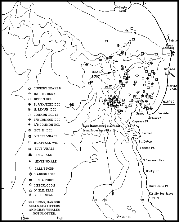 Monterey Bay Whale Watch Marine Mammal Sightings Map 6 26-7 25 98