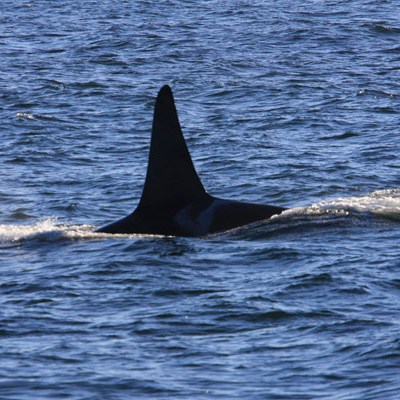 a large body of water