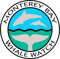Monterey Bay Whale Watch