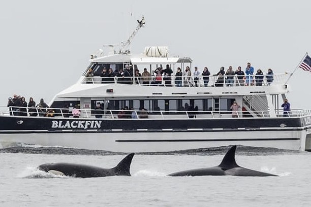 a small boat in a body of water