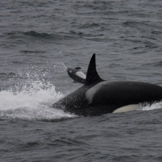 a man riding a wave on top of a body of water