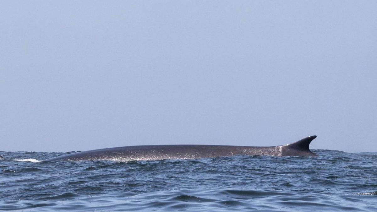 a man riding a wave on top of a body of water