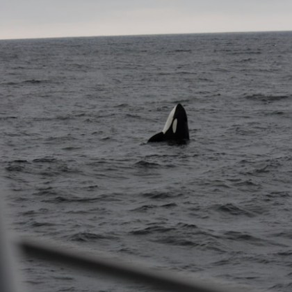 a body of water next to the ocean