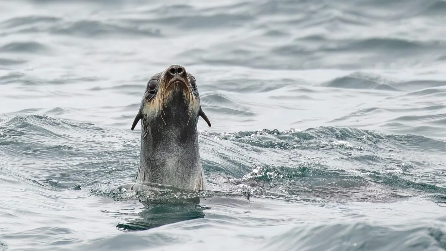 a person riding a wave on top of a body of water