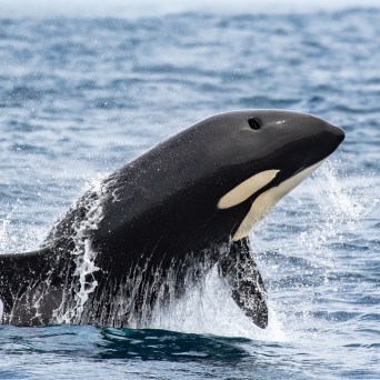 a man riding a wave on a surfboard in the ocean