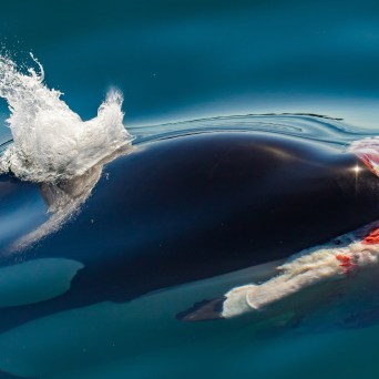 a close up of blue water