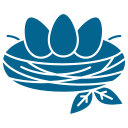 a drawing of a face